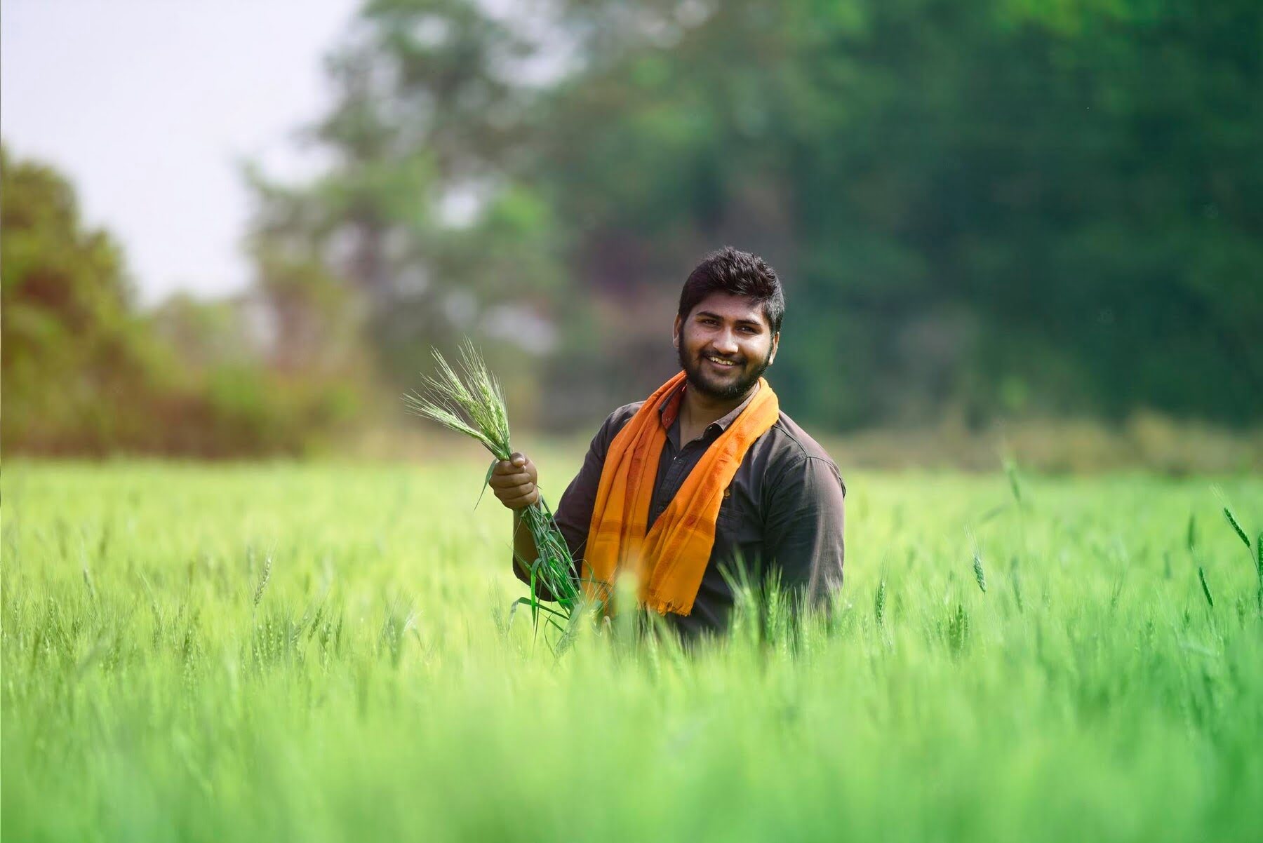 Green Revolution in Indian Agriculture