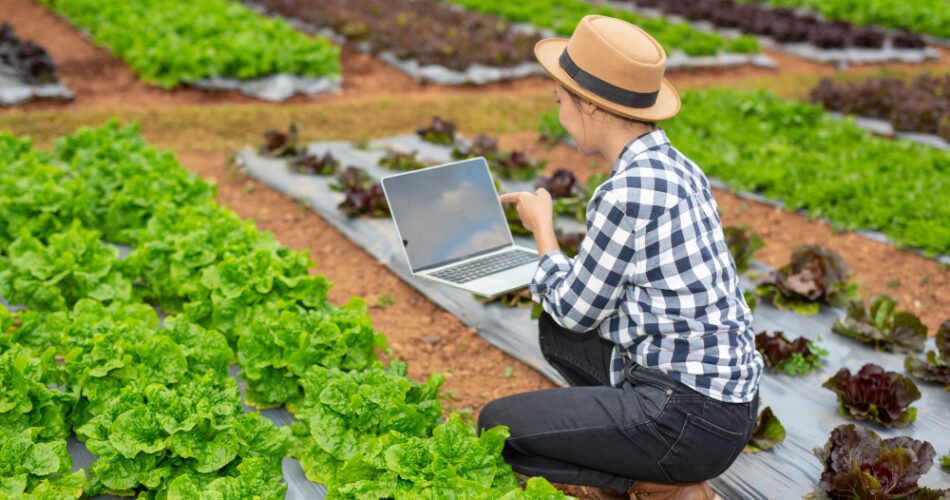 Agricultural Productivity