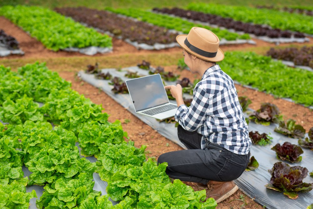 Agricultural Productivity